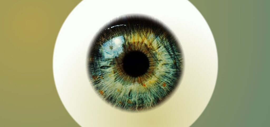 Eyeball Close-Up