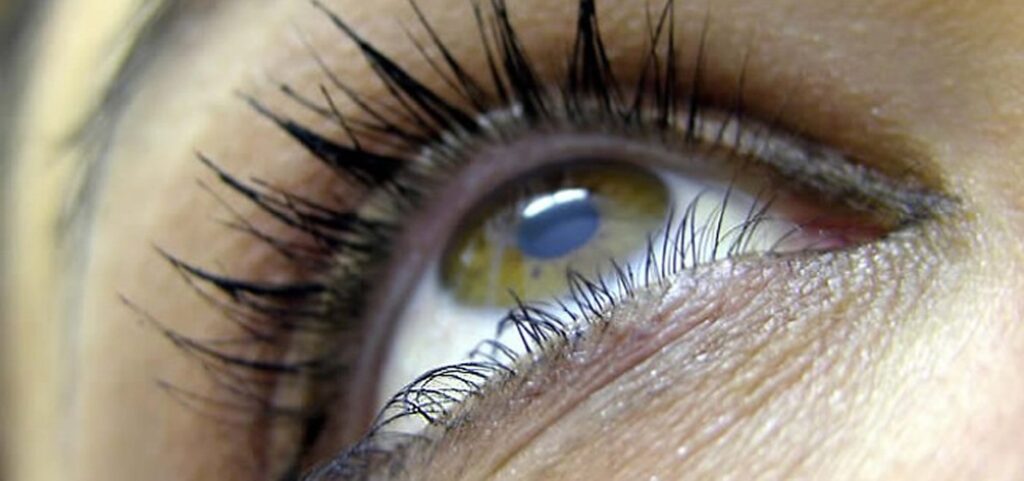 Eye Looking Upwards