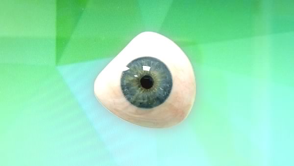Close Up of an Artificial Eye
