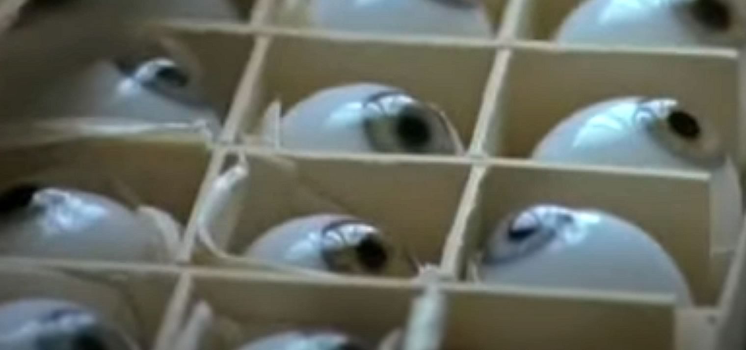 A box of Glass Eyes
