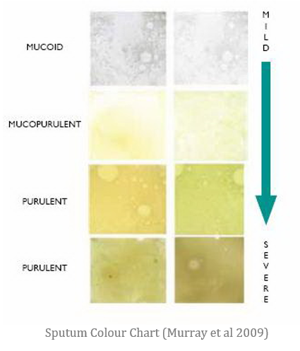 Sputum Colour Chart