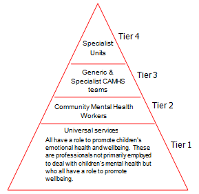 Tier 4: Specialist Units.
Tier 3: Generic & Specialist CAMHS teams.
Tier 2: Community Mental Health Workers.
Tier 1: Universal services. All have a roll to promote children's emotional health and wellbeing. These are professionals not primarily employed to deal with children's mental health but who all have a role to promote wellbeing.