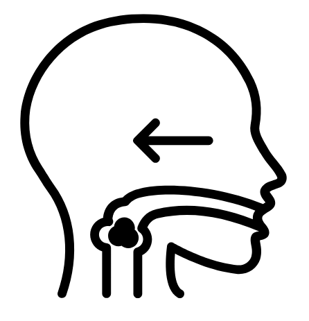 IDSSI