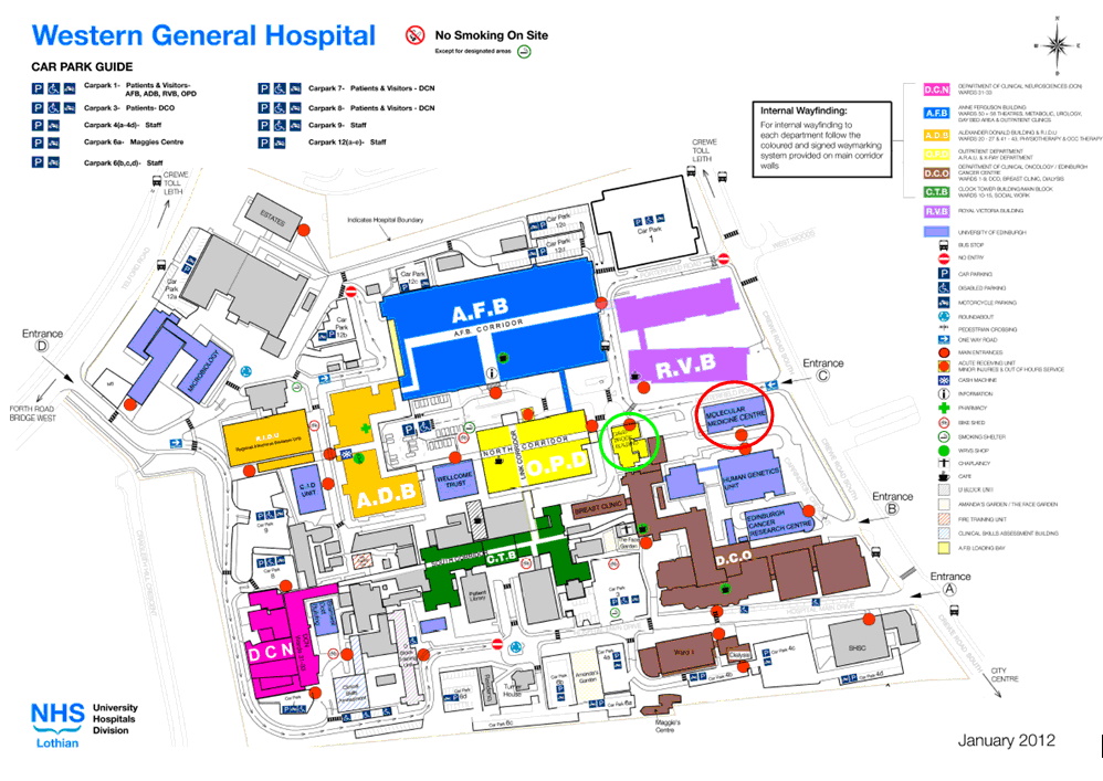 Map graphic showing the location of the Molecular Medicine Centresite.