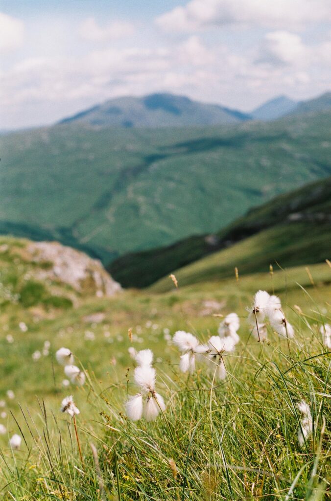pexels urlapovaanna 3012160