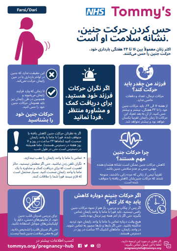 feel your baby move farsi or dari