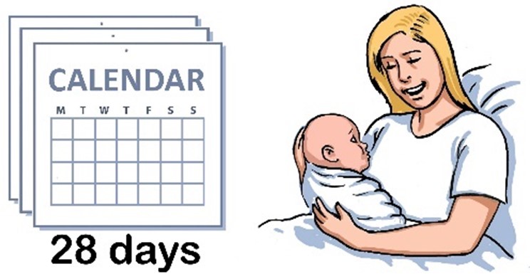 first 28 days