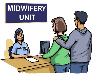 pregnancy monitor