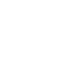 Brain