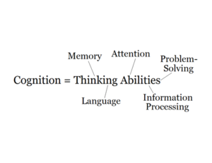 Graphic displaying the words: Cognition equals thinking abilities. Momory. Attention. Problem solving. language. Information Processing
