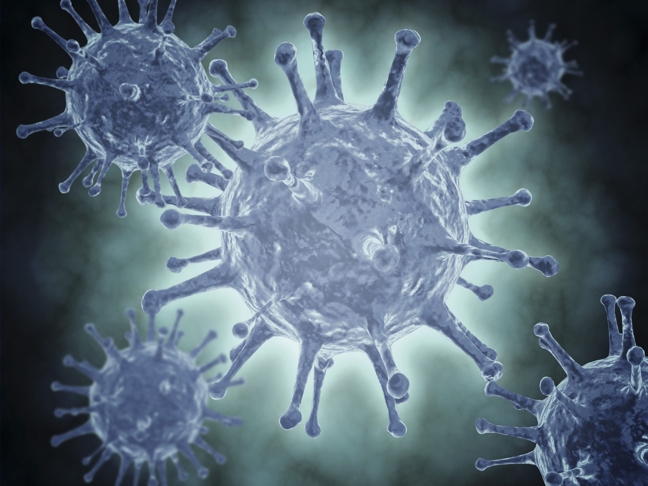 hep c virus