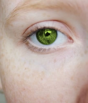 Close up photo of young face with green eyes