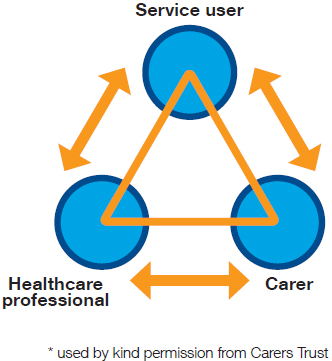 Supporting Carers Tri Diagram