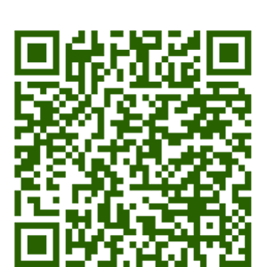 Qdenga QR Code Square