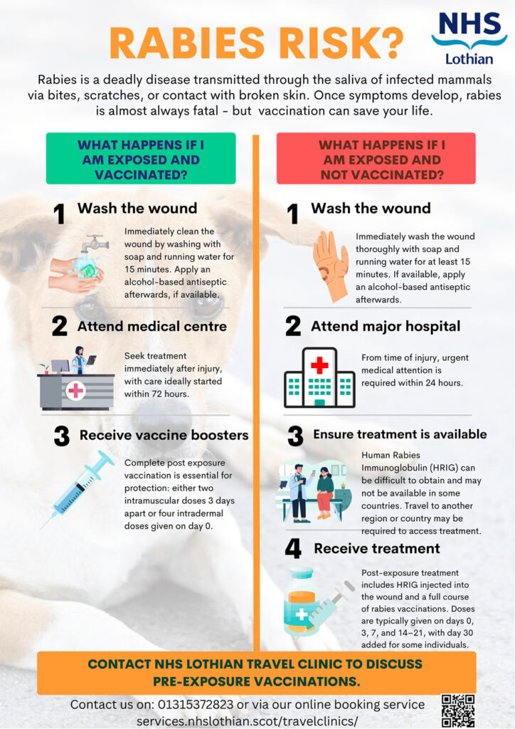 Rabies Risk Infographic