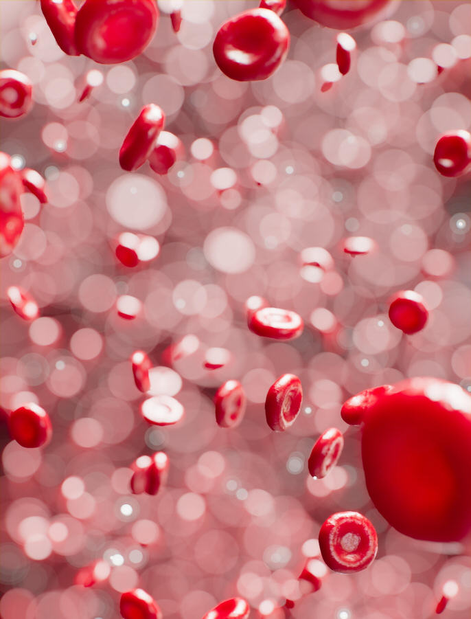 Red blood cells