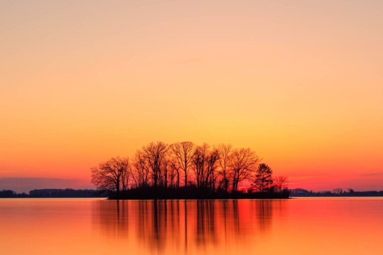 An island of trees in a lake with an orange sky reflecting in the water