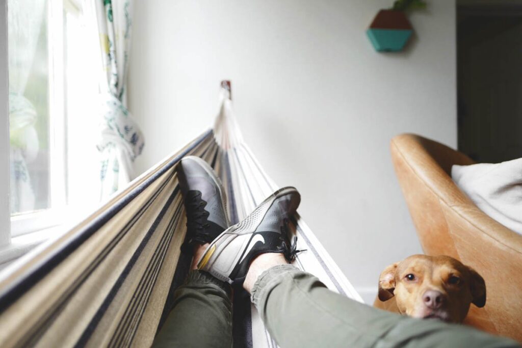 A man lying in a hammock with a dog looking on