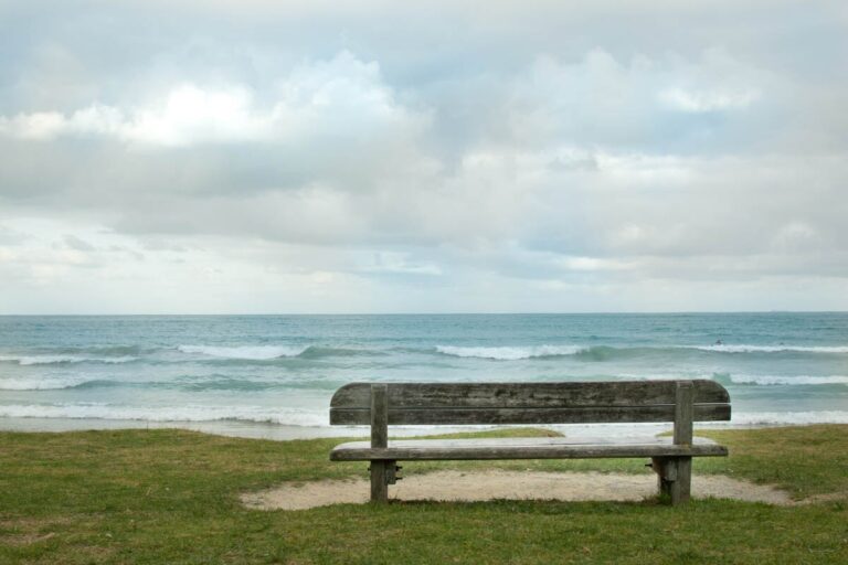 A wooden bench on a cliff looking out towards the sea