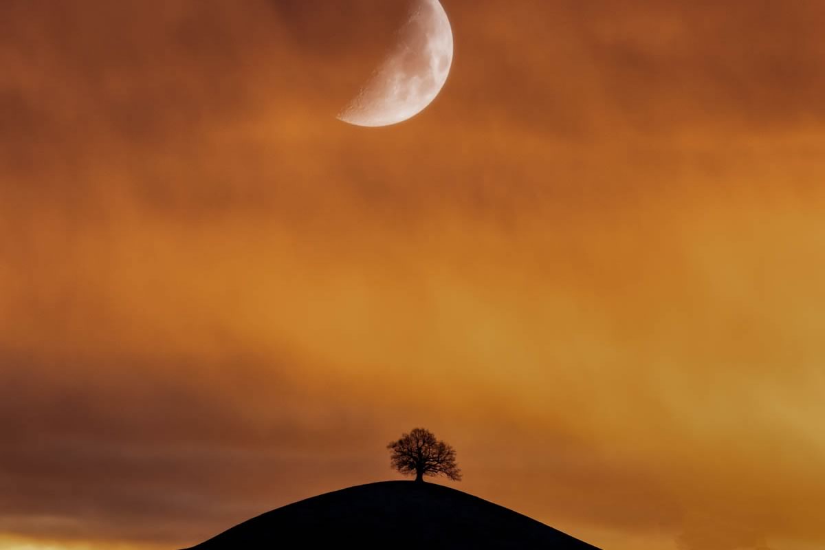 The moon in an orange sky, high above a tree on a hill