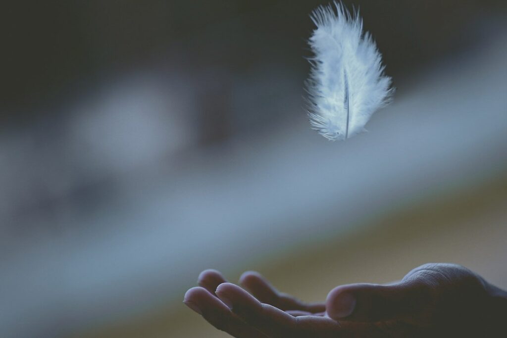 An outstretched hand catching a falling white feather